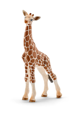 Schleich Schleich - Wild Life - 14751 - Giraffe Calf