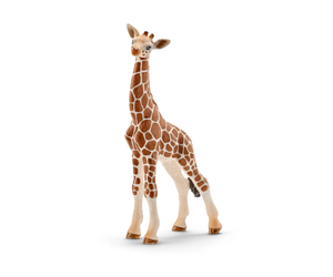 Schleich - Wild Life - Giraffe Calf - ToymastersMB.ca - Westmans