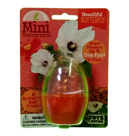 Toys By Nature - Mini Terrarium - Beautiful Butterfly