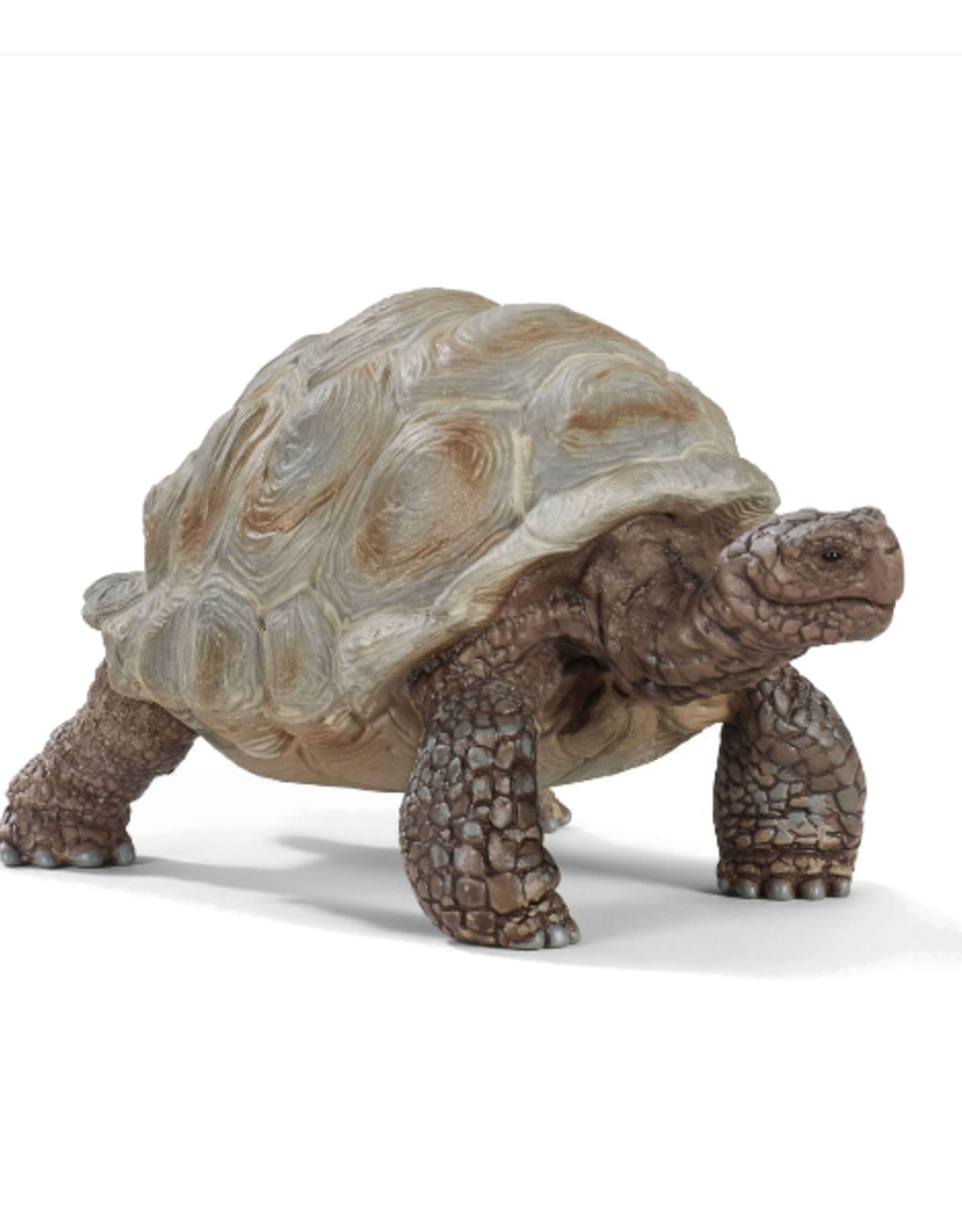Schleich Schleich - Wild Life - 14824 - Giant Tortoise