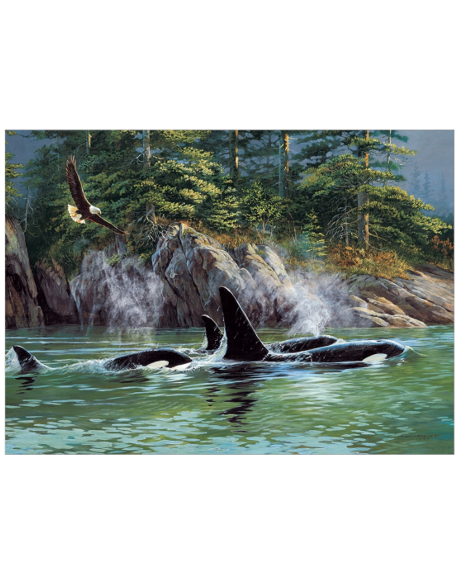 Cobble Hill Cobble Hill - 1000pcs - Orcas