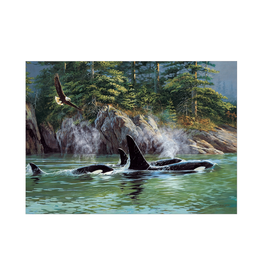 Cobble Hill Orcas (1000pcs)