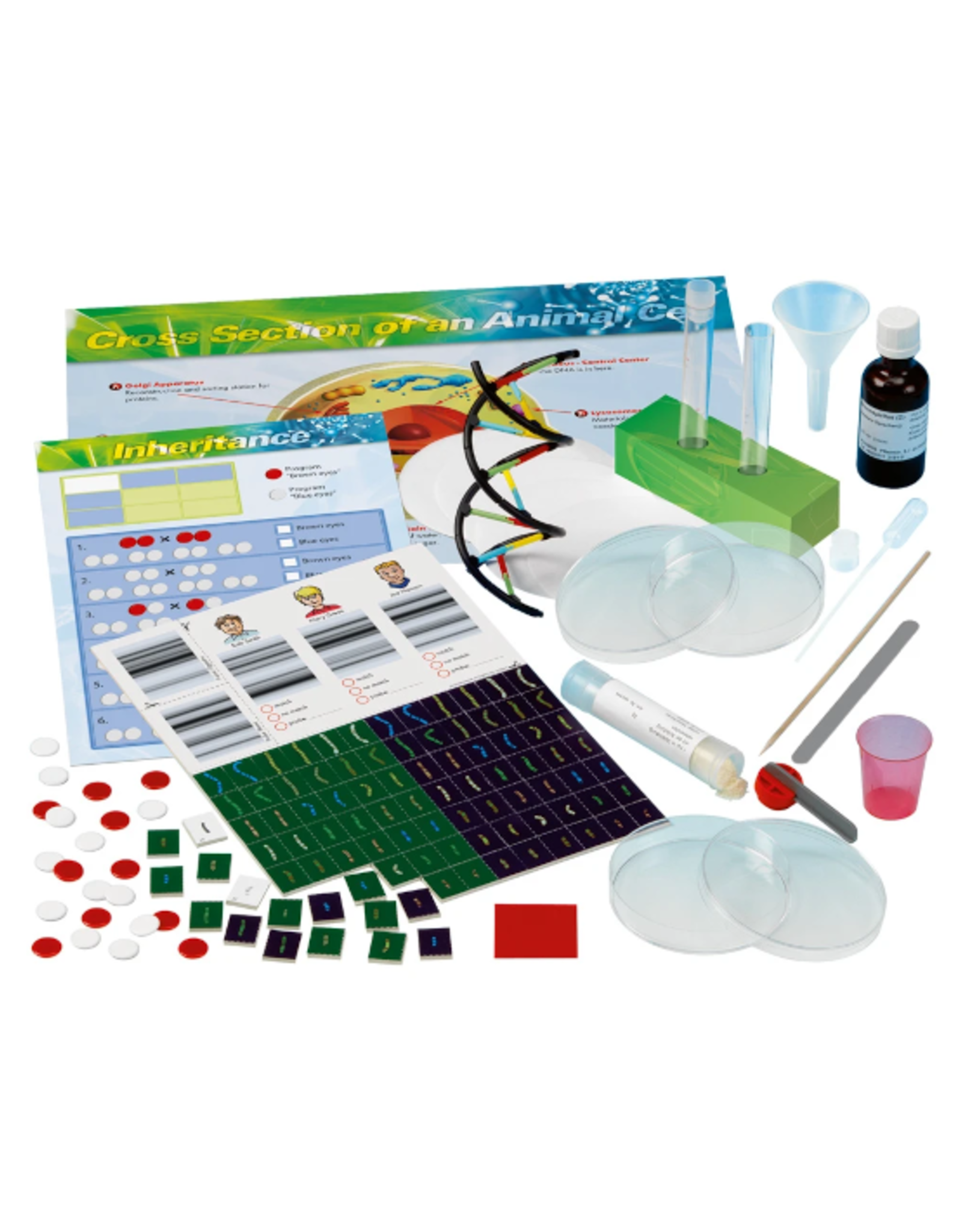 Thames & Kosmos Thames & Kosmos - Genetics & DNA Lab