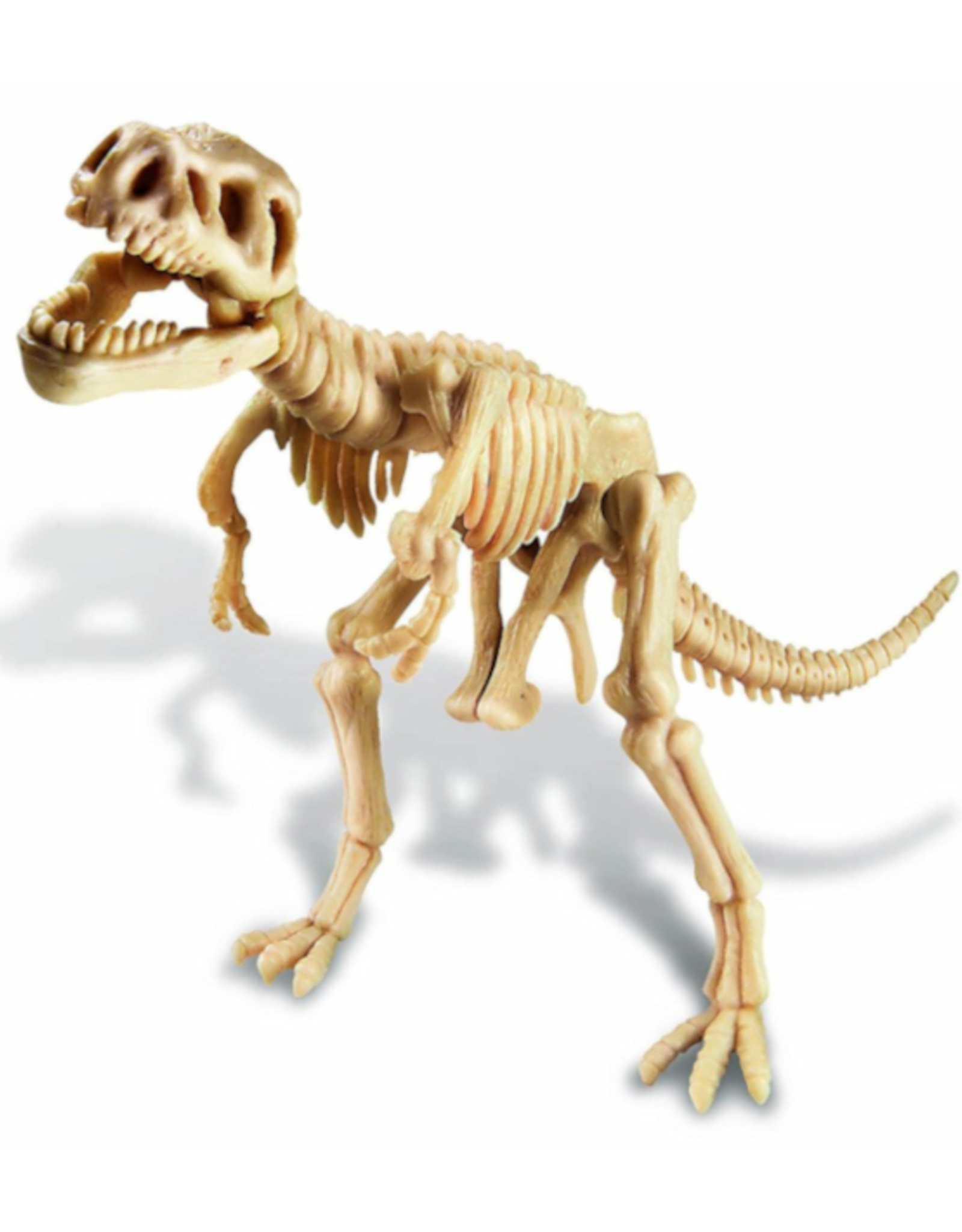 4M 4M - Dig a Dinosaur Skeleton - Tyrannosaurus Rex