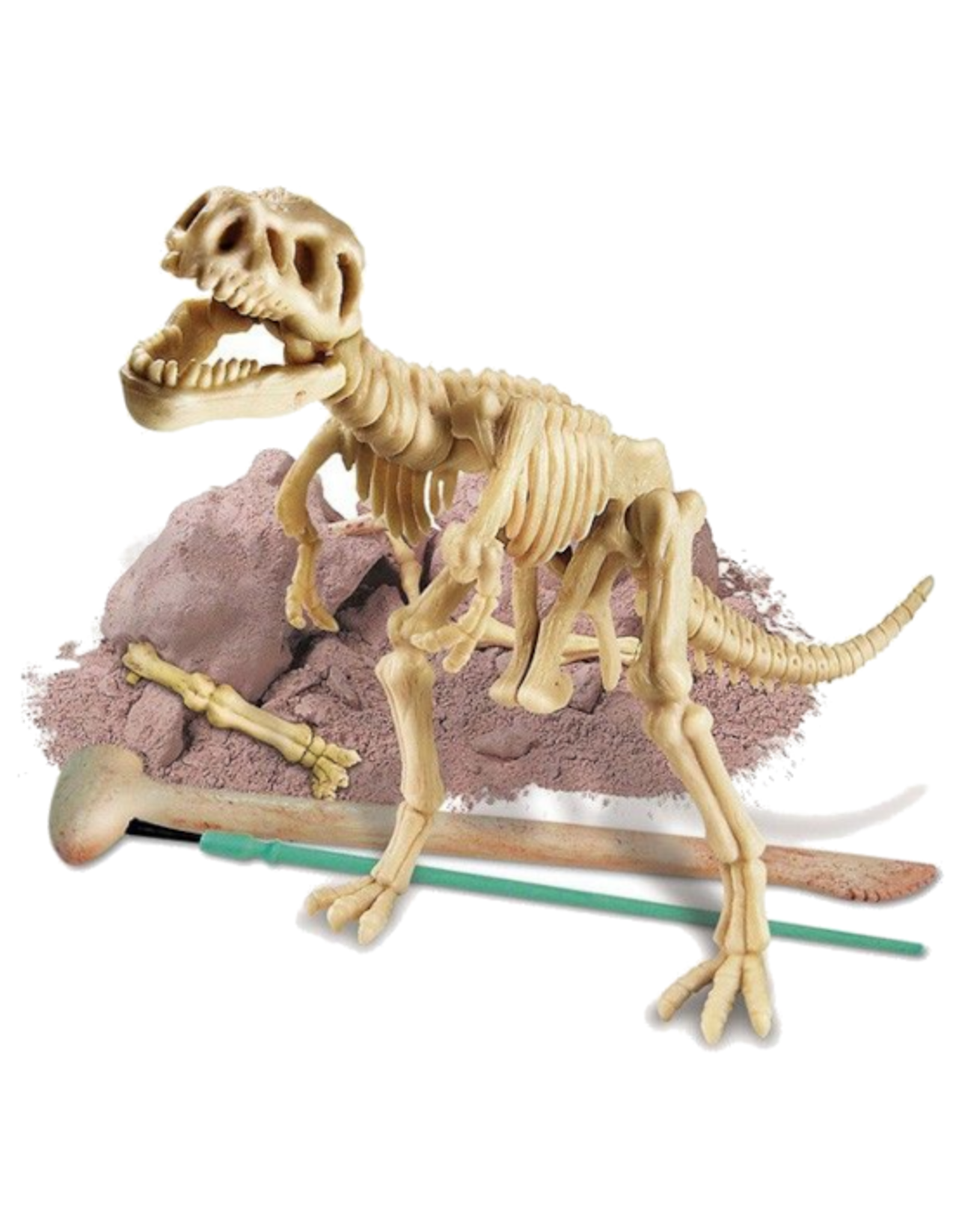 4M 4M - Dig a Dinosaur Skeleton - Tyrannosaurus Rex