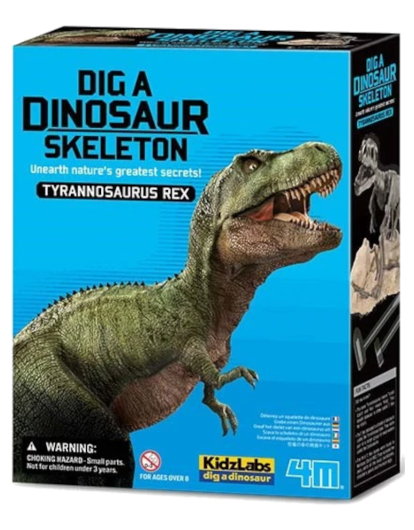 4M 4M - Dig a Dinosaur Skeleton - Tyrannosaurus Rex