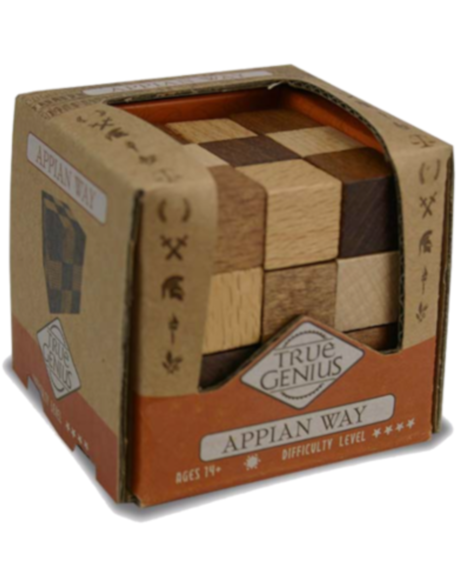 Project Genius - Appian Way Mini Puzzle
