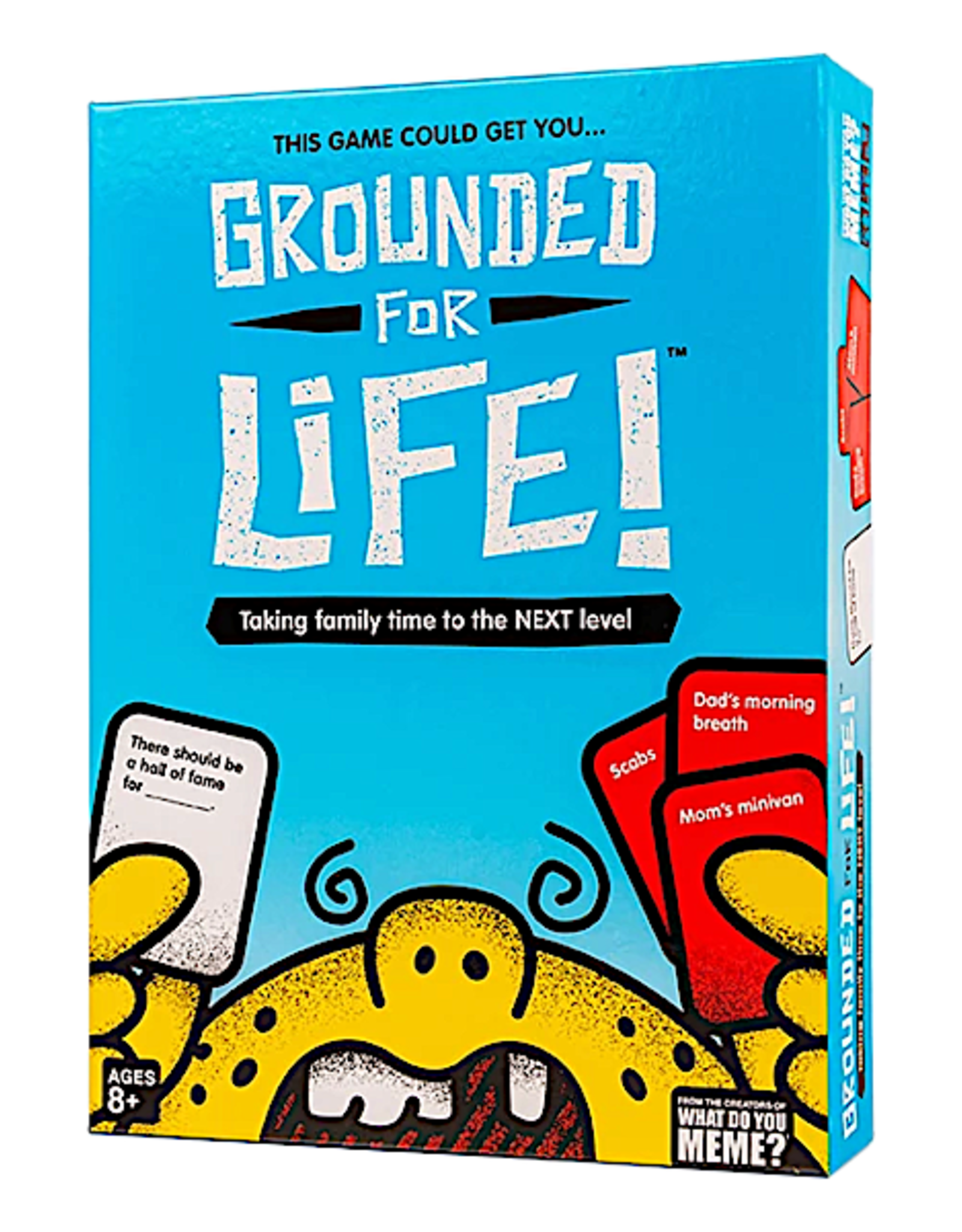 What do you Meme What Do You Meme - Grounded for Life