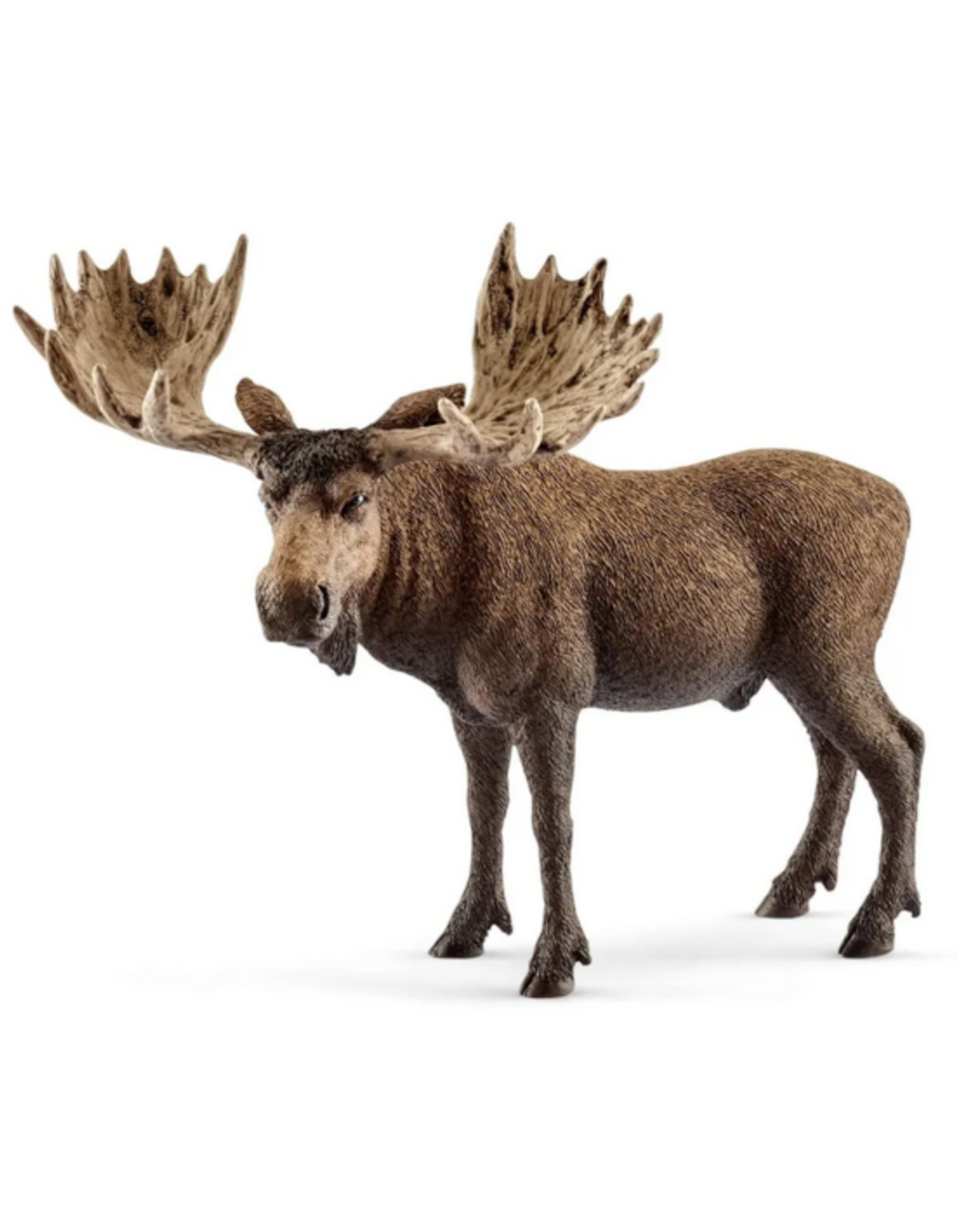 Schleich Schleich - Wild Life - 14781 - Moose Bull