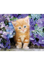 Clementoni Clementoni - 500pcs - Gattino Rosso Ginger Cat in Flowers