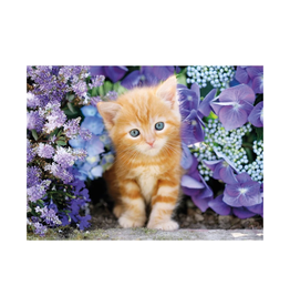 Clementoni Gattino Rosso Ginger Cat in Flowers (500pcs)