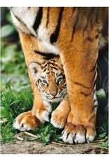 Clementoni Clementoni - 500pcs - Bengal Tiger Cub