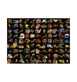 Ravensburger 99 Stunning Animals (1000pcs)