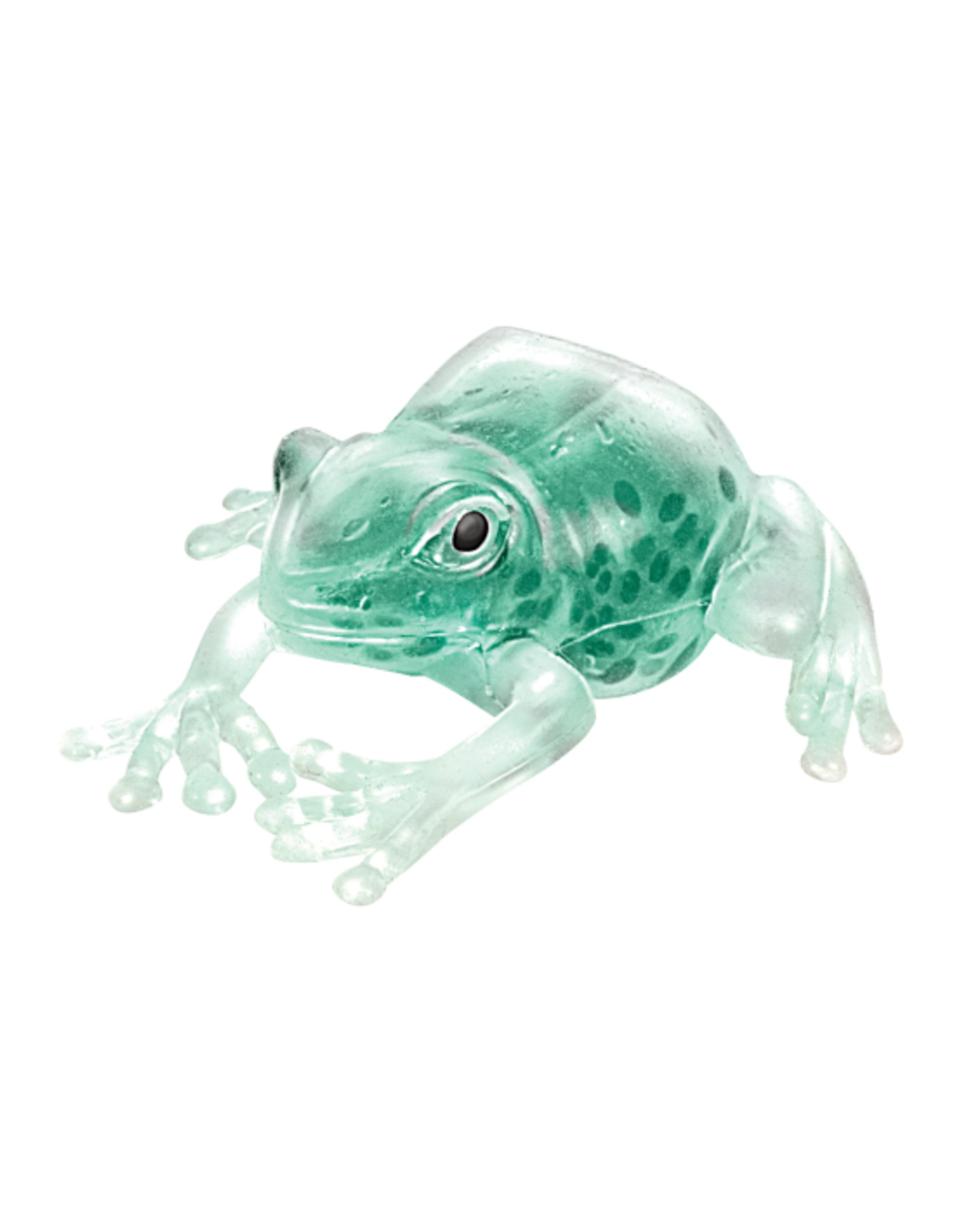 Schylling - Squish the Frog -  - Westmans Local Toy