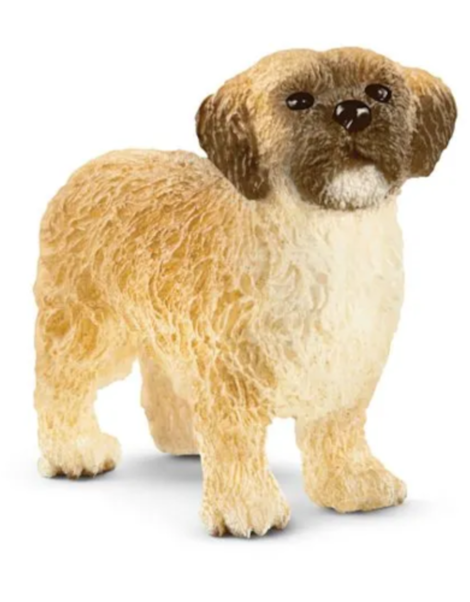 Schleich Schleich - Farm World - 13931 - Shih Tzu Malteser Mix