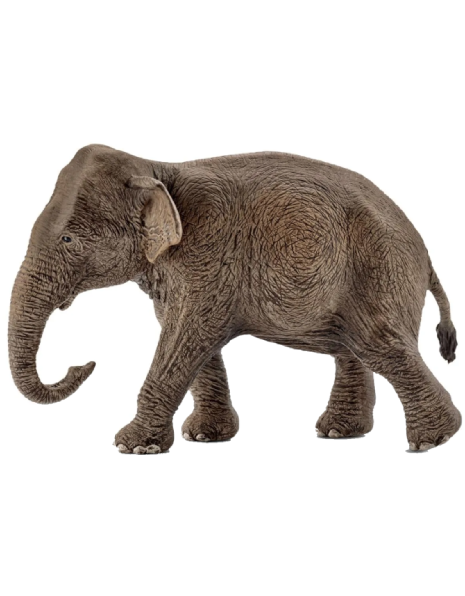 Schleich Schleich - Wild Life - 14753 - Asian Elephant, female