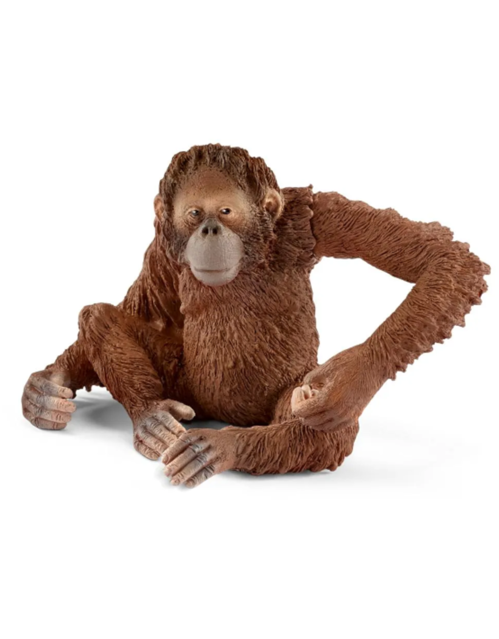 Schleich Schleich - Wild Life - 14775 - Orangutan, female