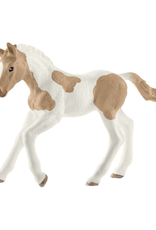Schleich Schleich - Horse Club - 13886 - Paint Horse Foal