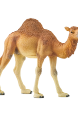 Schleich Schleich - Wild Life - 14832 - Dromedary (Camel)