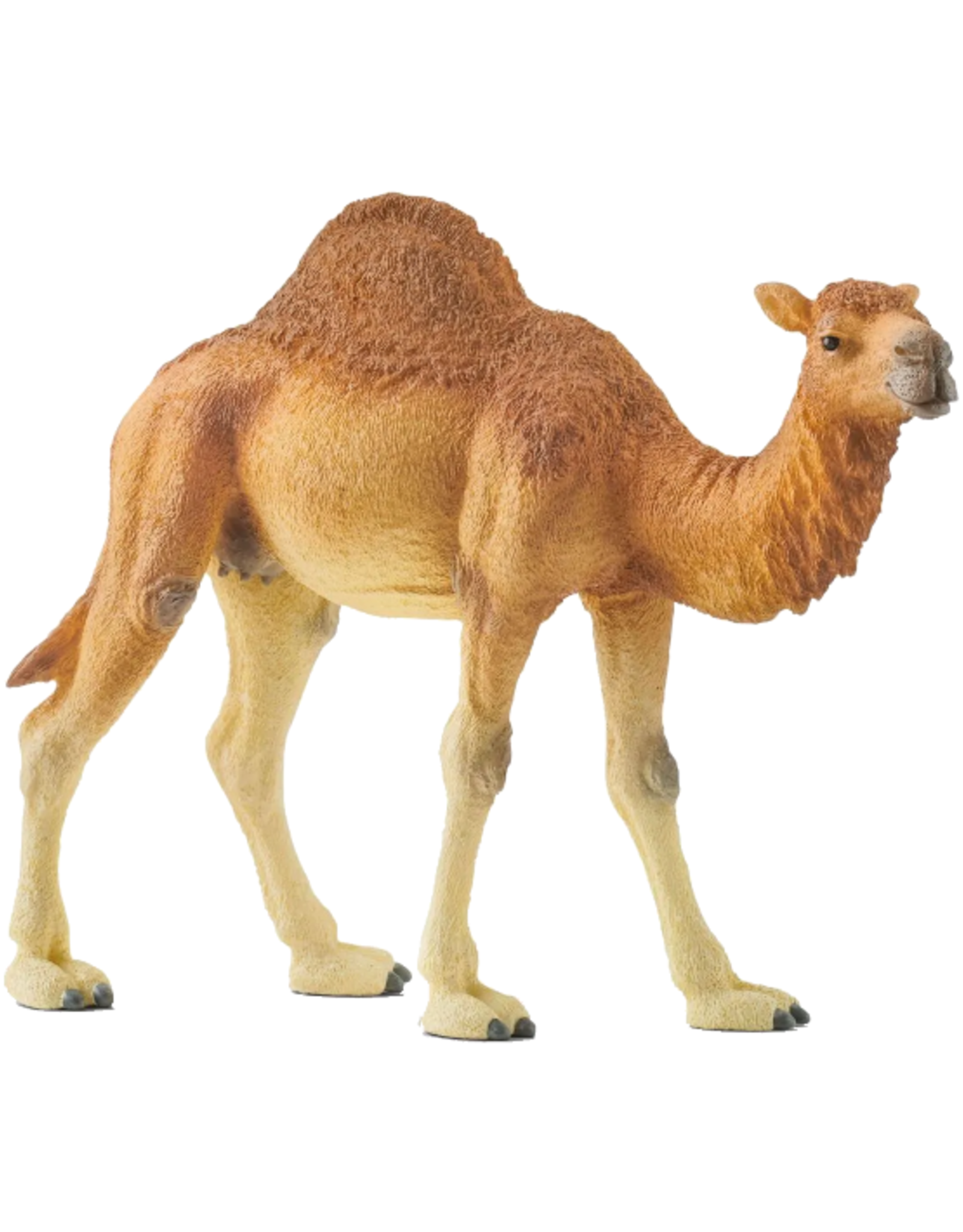 Schleich Schleich - Wild Life - 14832 - Dromedary (Camel)