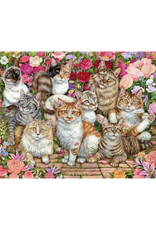 Falcon De Luxe - 1000pcs - Floral Cats
