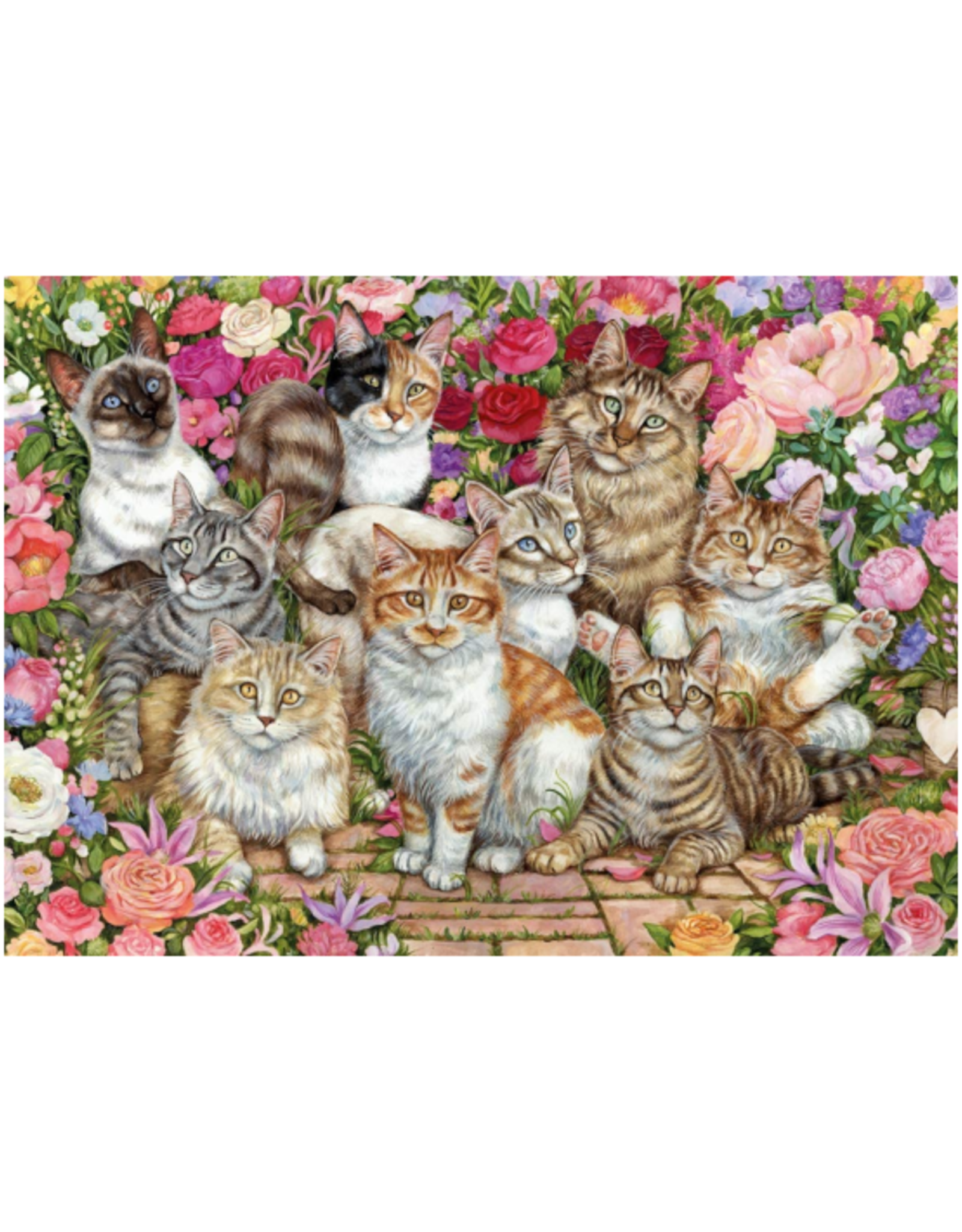 Falcon De Luxe - 1000pcs - Floral Cats