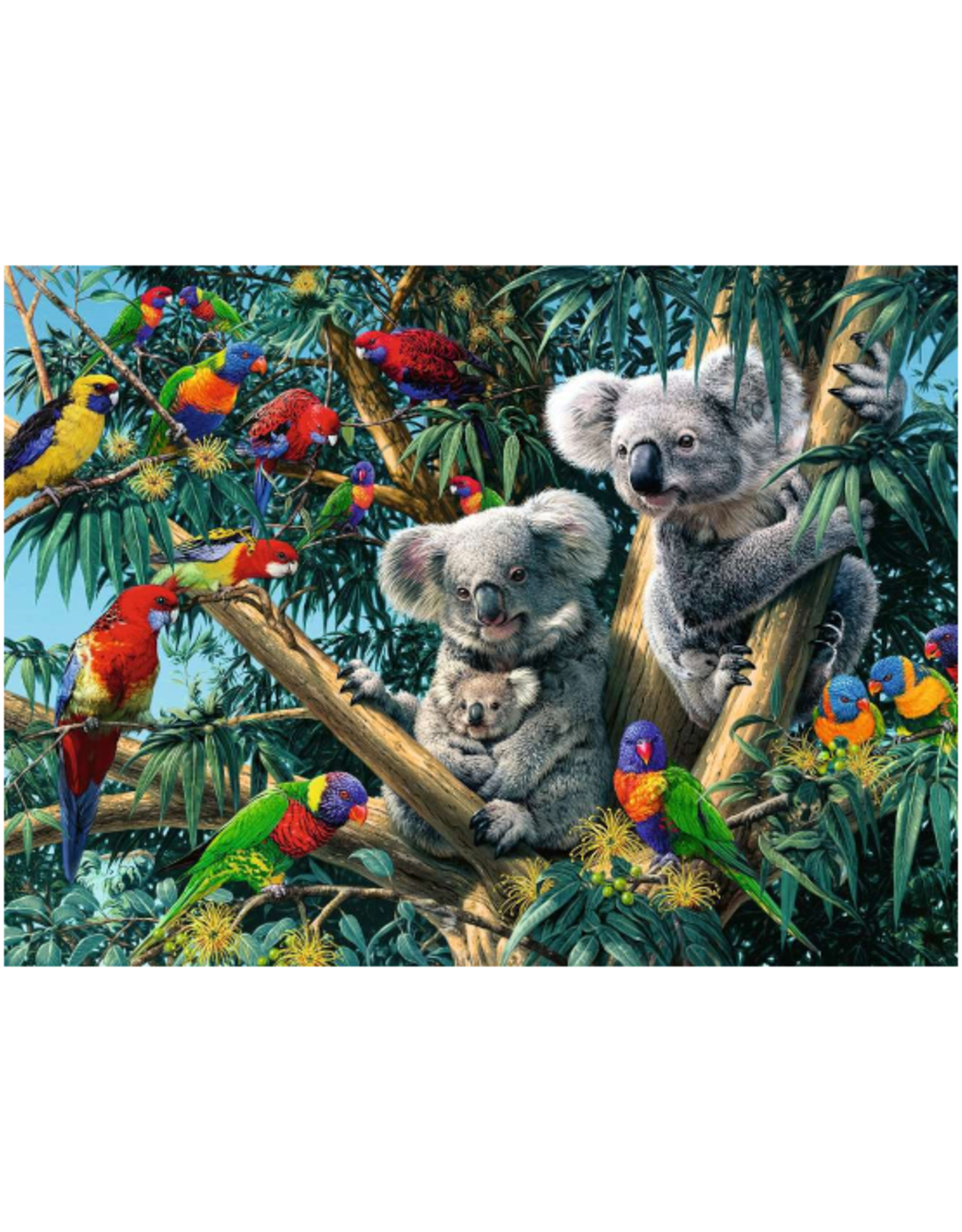 Ravensburger Ravensburger - 500pcs - Koalas in a Tree