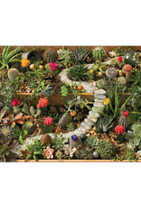 Cobble Hill Cobble Hill - 1000 Pcs - Succulent Garden