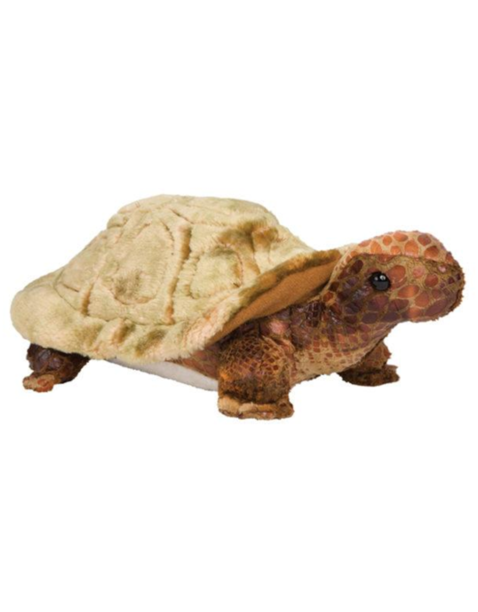 Douglas Douglas - Speedy Tortoise