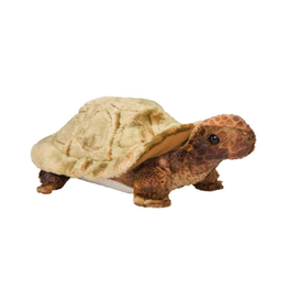Douglas Speedy Tortoise