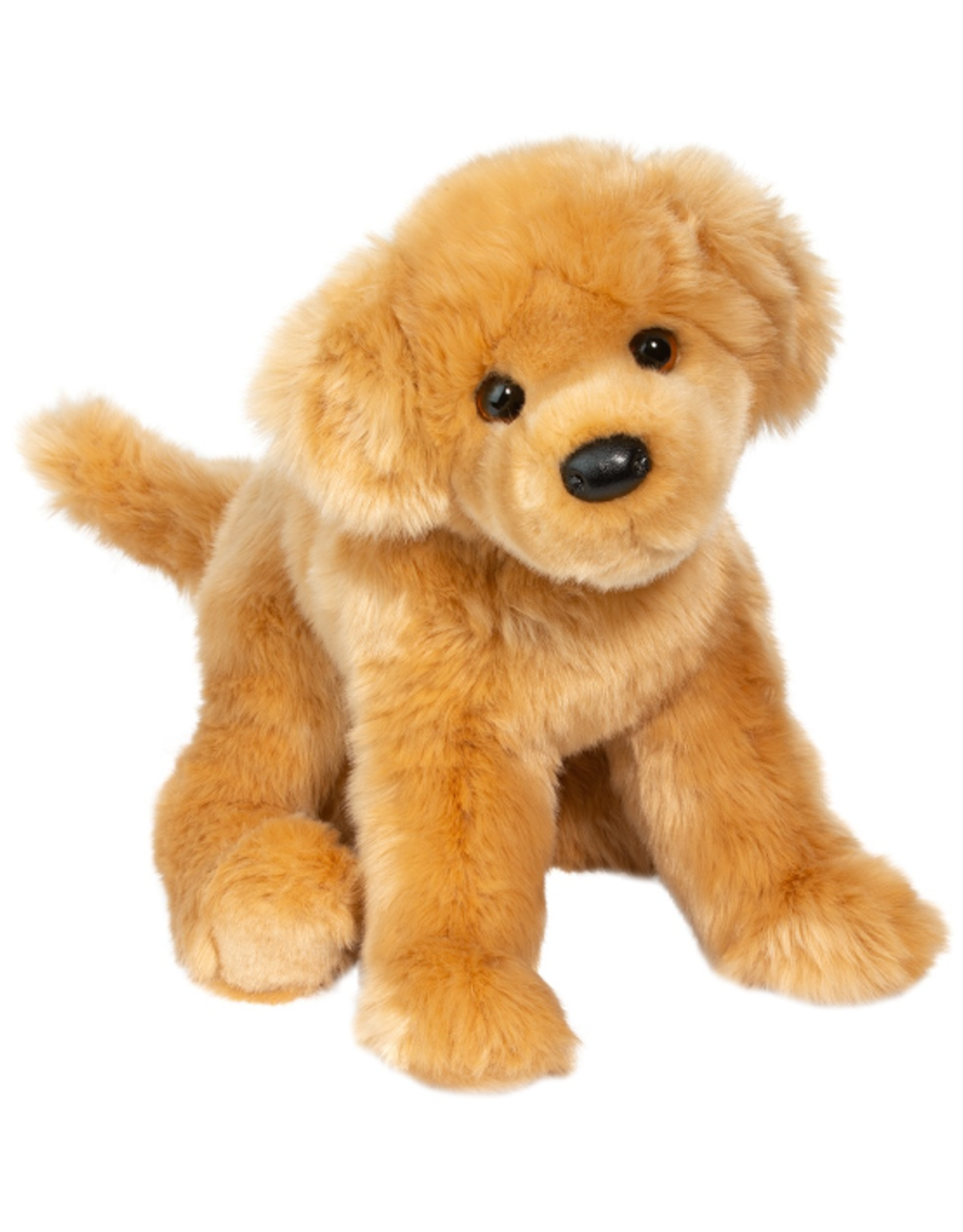 Douglas Douglas - Bella Golden Retreiver