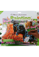 Royal & Langnickel - Paint by Numbers - Trouble in the Garden