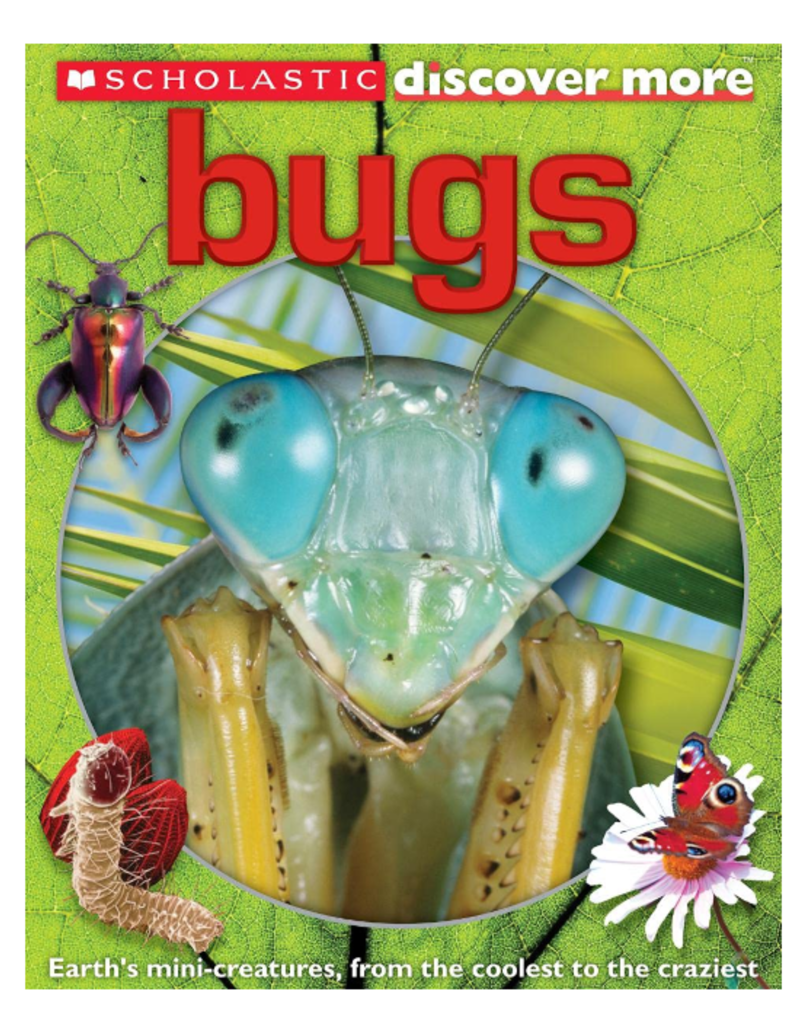 Scholastic Books Book - Scholastic Discover More: Bugs