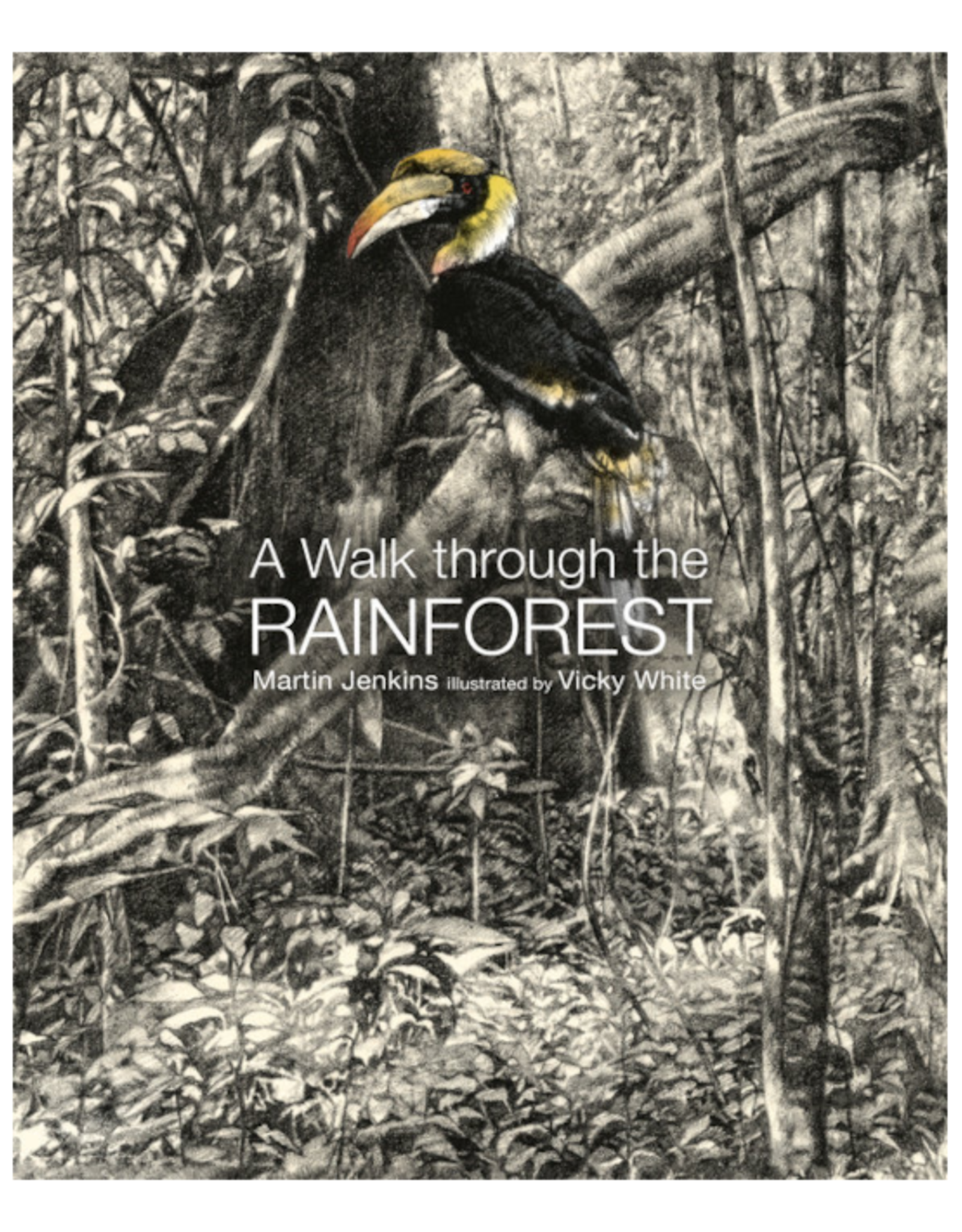 Penguin Random House Books Book - A Walk Through the Rain Forest