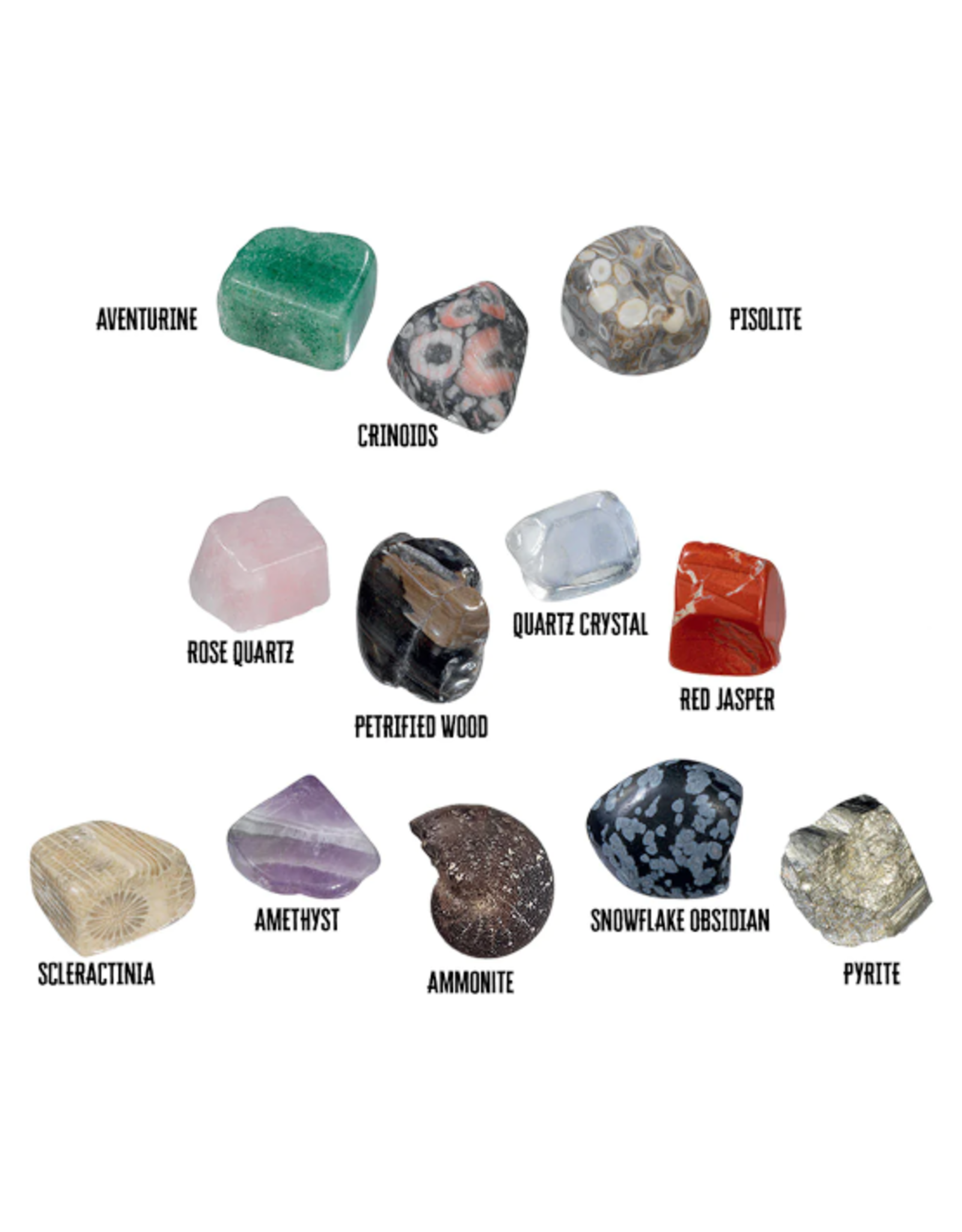 Thames & Kosmos Thames & Kosmos - I Dig It! Rocks! Fossils!