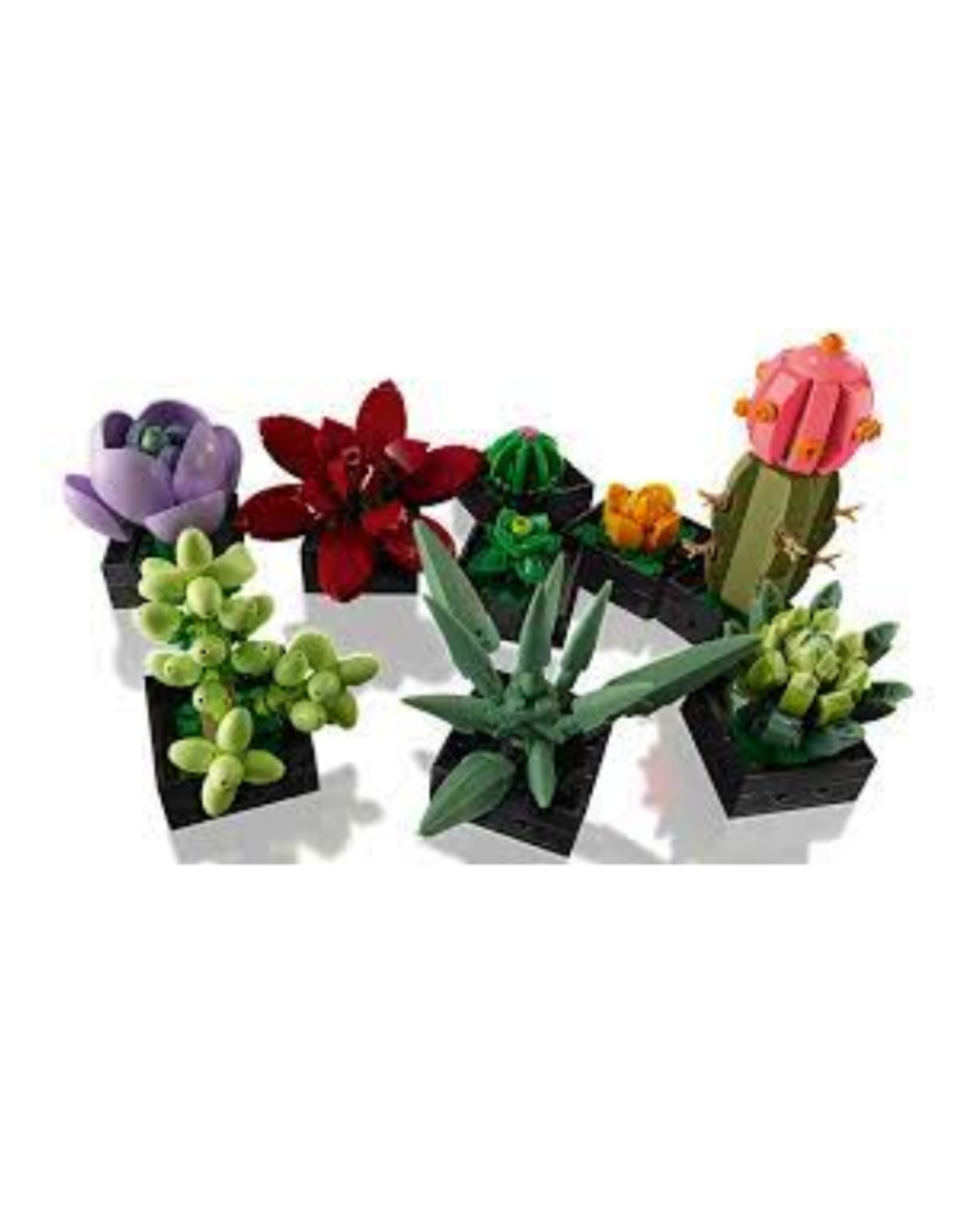 Lego Icons 10309 Succulents