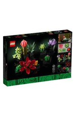 Lego Icons 10309 Succulents