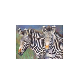 Paint by Numbers Grevy's Zebra