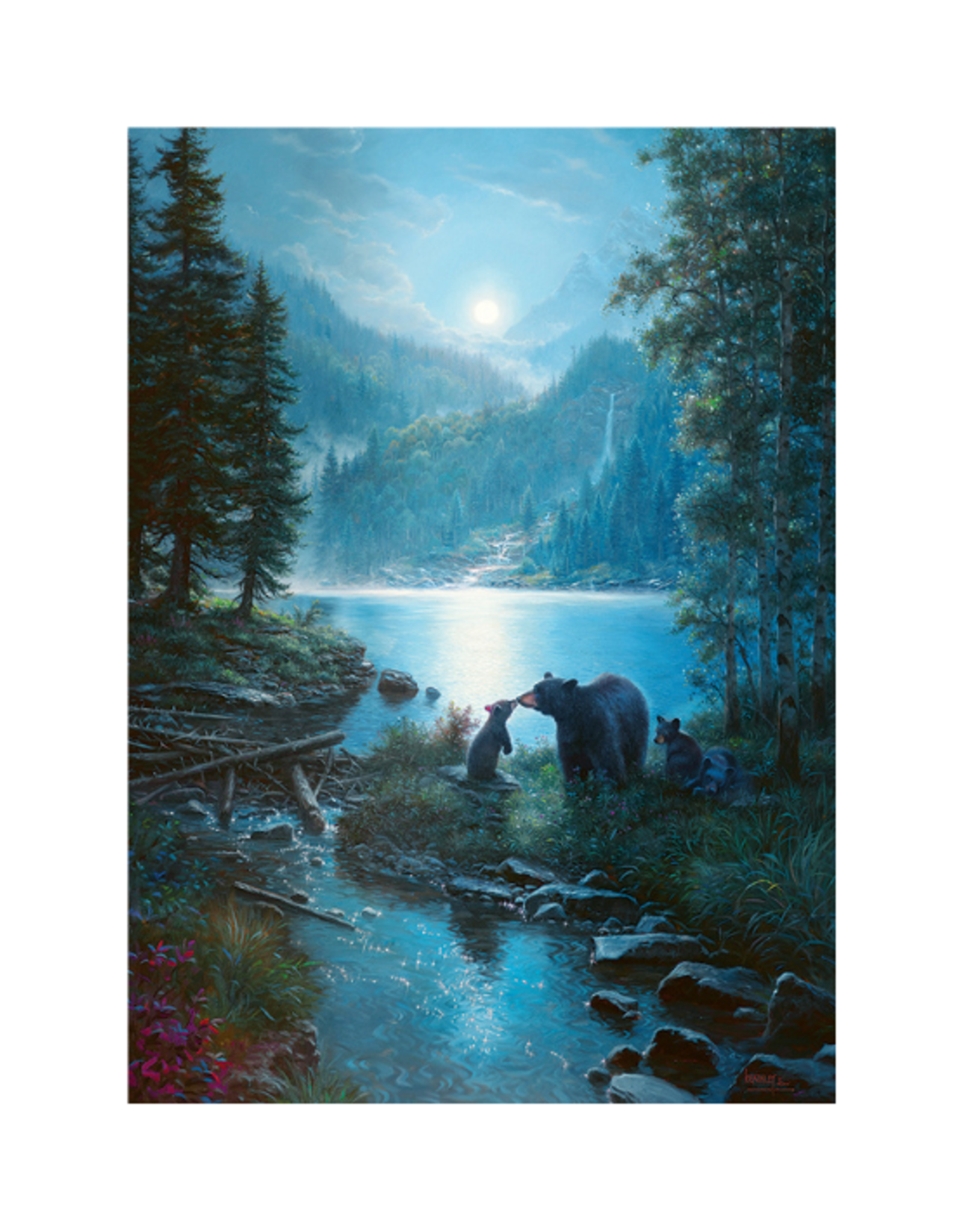 Cobble Hill Cobble Hill - 1000 Pcs - Bear Night