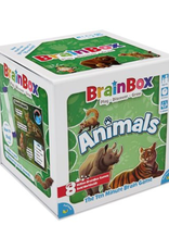 Bezzer Wizzer Studio - Brainbox: Animals