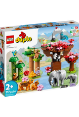 Lego Lego - Duplo - 10974 - Wild Animals of Asia