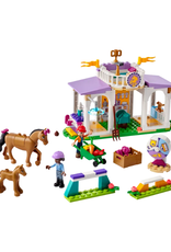 Lego Lego - Friends - 41746 - Horse Training