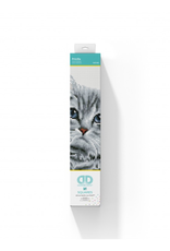 Diamond Dotz - Square - Pricilla Diamond Dotz Art Kit