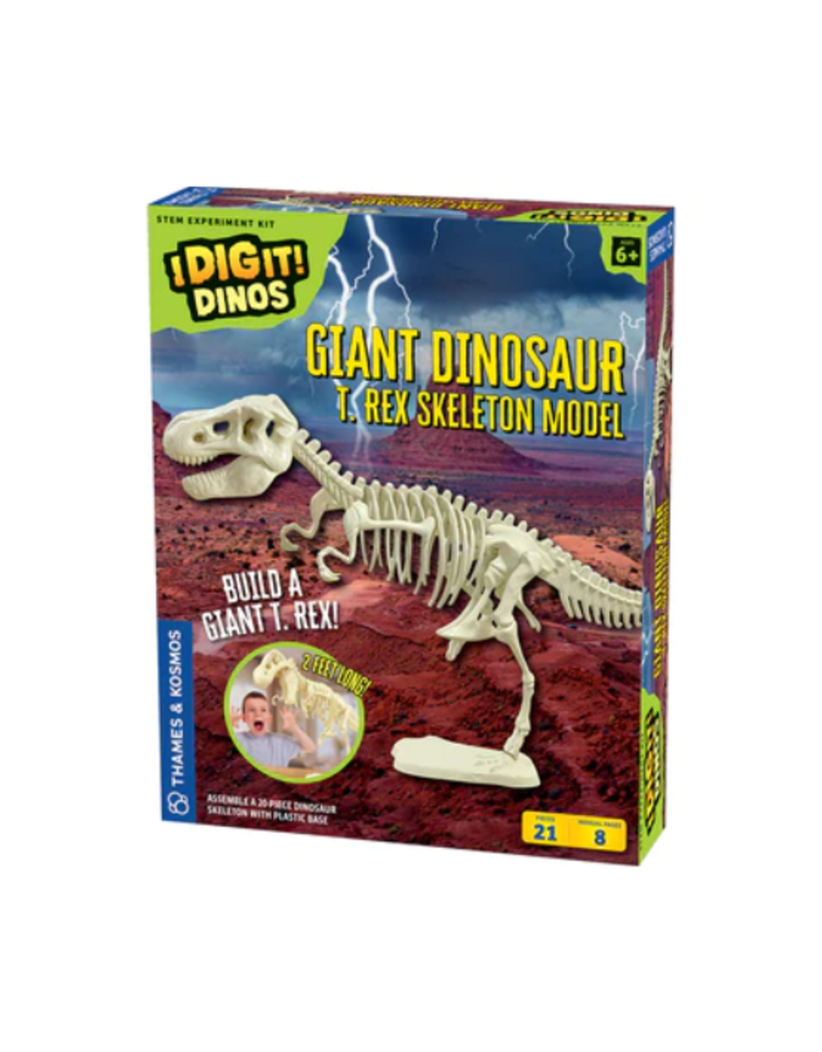 Thames & Kosmos Thames & Kosmos - Giant Dinosaur Skeleton Kit