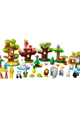 Lego Lego - Duplo - 10975 - Wild Animals of the World