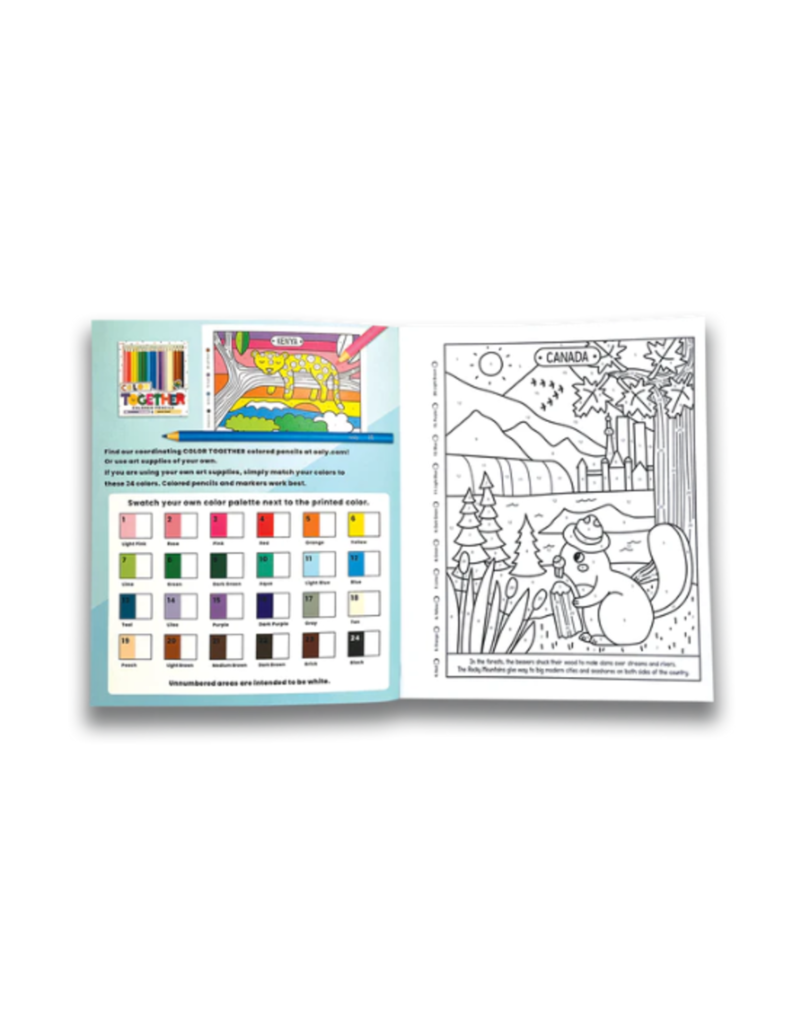 Ooly Ooly - Color By Numbers Coloring Book - Wonderful World