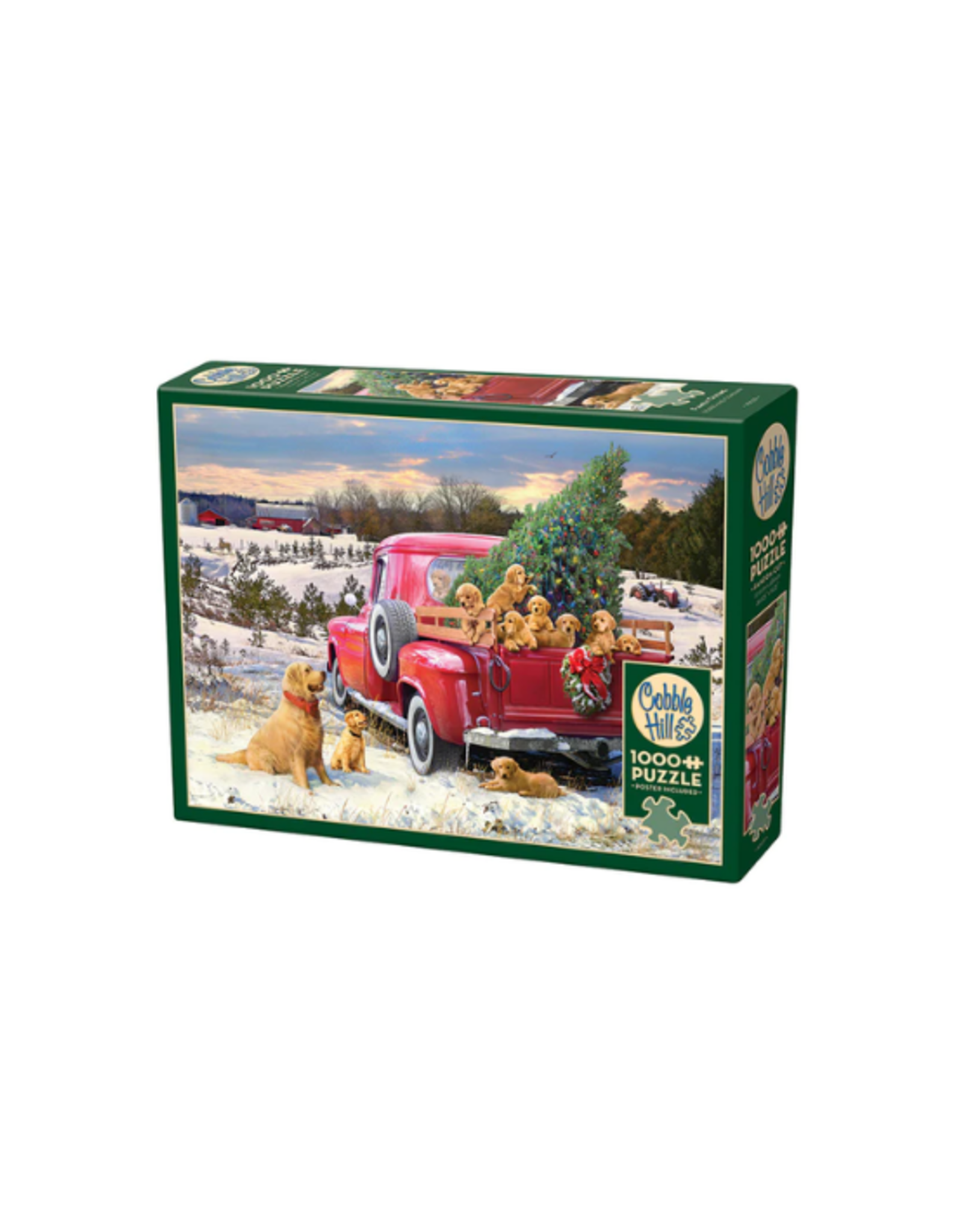 Cobble Hill Cobble Hill - 1000 pc - Family Outing