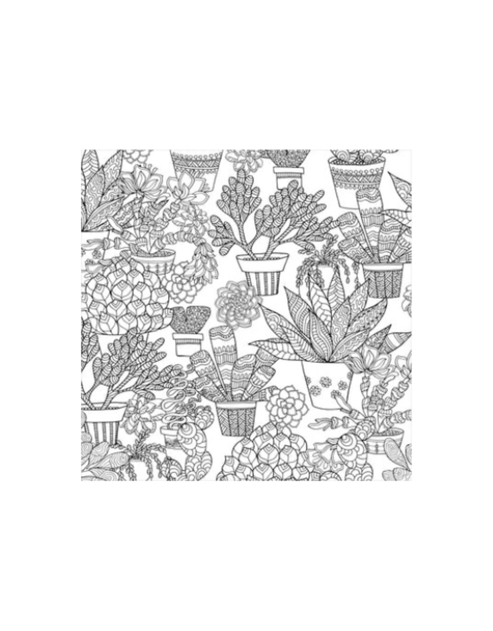 Peter Pauper Press Peter Pauper Press - Succulents Artist's Coloring Book