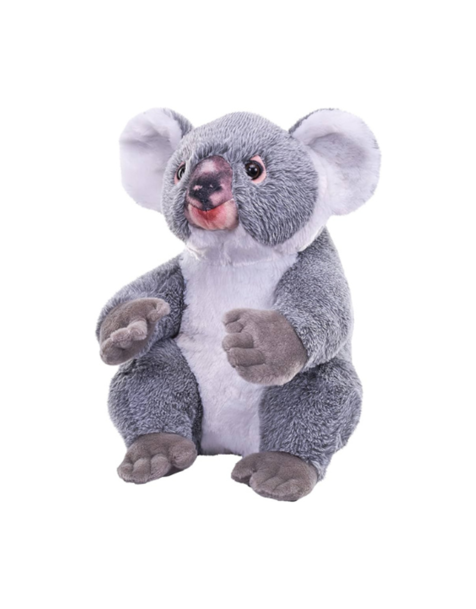 Wild Republic Wild Republic - Artist Collection - Koala 15"