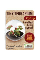 Tiny Terrariums - Fly Trap